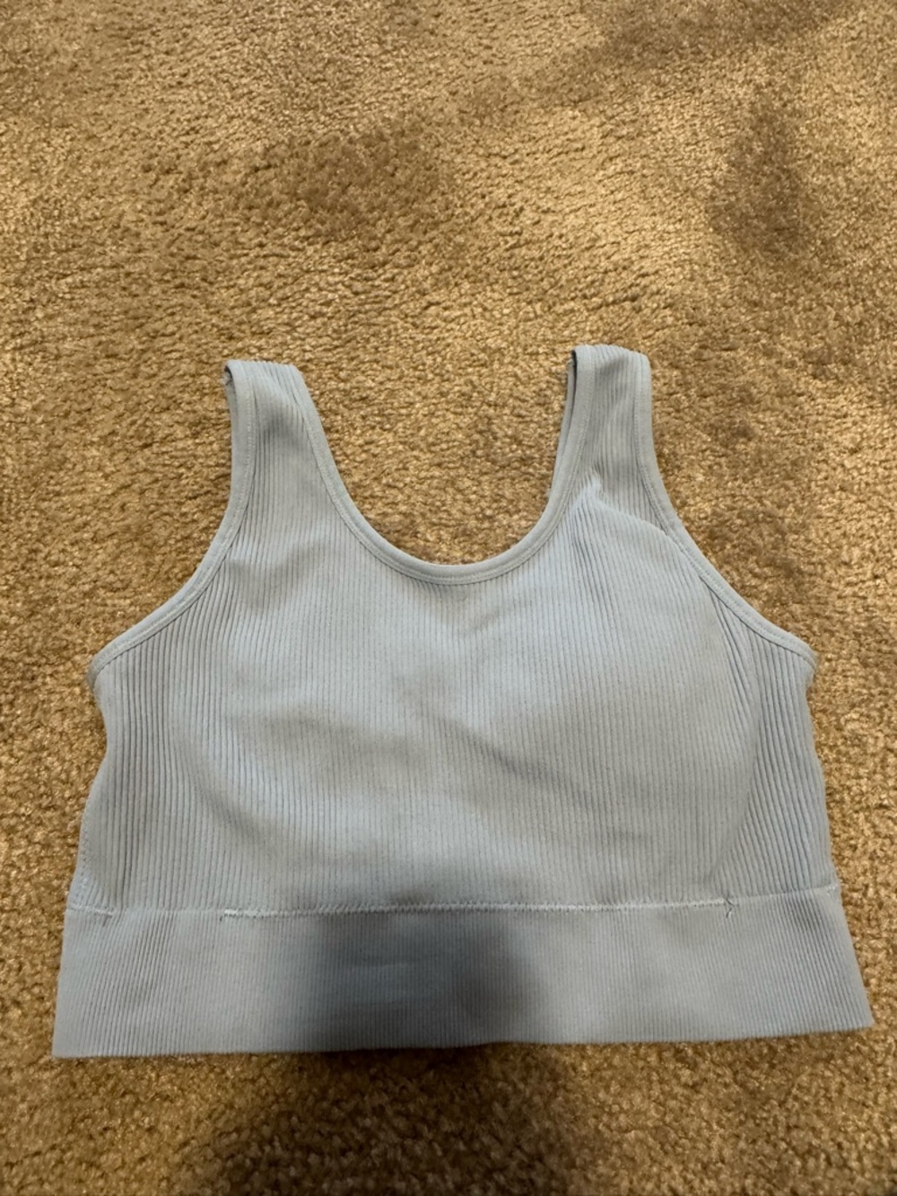 Aerie Padded Baby Blue Sports Bra